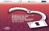Diagnóstico sobre la Práctica de las Detenciones a personas … · 2017. 11. 15. · 5 Diagnóstico sobre la Práctica de las Detenciones a personas jóvenes en San Luis Potosí