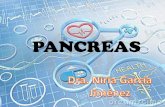 PANCREAS - Webnode · PANCREAS . ANATOMIA El páncreas es una estructura alargada situada en el epigástrico e hipocondrio izquierdo. De consistencia blanda y lobulada Localizado