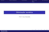 Otimização numéricacnaber/aula_ON.pdf · 2012. 4. 11. · Title: Otimização numérica Author: Prof. Caio Azevedo Created Date: 4/11/2012 9:30:05 AM