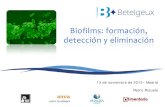 Biofilms: formación, detección y eliminación...Biofilms: formación, detección y eliminación Día de mes de año - Ciudad 13 de noviembre de 2013– Madrid Pedro Pozuelo