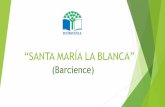 “SANTA MARÍA LA BLANCA”ceip-barcience.centros.castillalamancha.es/sites/...Desde el curso 2014-2015 hemos conseguido: - Normalizar el reciclaje de papel y plásticos en el centro.