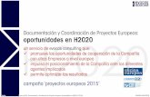 Documentación de Proyectos Europeos: Oportunidades en ... · PDF file iw4u Documentación y Coordinación de Proyectos Europeos: oportunidades en H2020 campaña ‘proyectos europeos