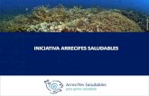 INICIATIVA ARRECIFES SALUDABLES · Reportes de Salud del Arrecife: -Documentan la salud del arrecife (monitoreo estandarizados) -Evalúan los impactos tierra adentro -Evalúan los