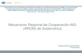 Mecanismo Regional de Cooperación AIG (ARCM) de Sudamérica. ARCM SAM... · 2015. 3. 12. · Región SAM . 20 Subgrupo: Participación en las investigaciones de ACCID e INCID Subgrupo