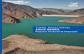 TÚNEL BINACIONAL AGU A NEGRA - Argentina.gob.ar · 2017. 12. 1. · TABLAS T1 Secuencia para la formulación e implementación de un Programa Territorial de Integración (PTI) ...