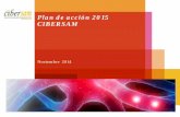 Plan de acción 2015 CIBERSAM · a nivel nacional e internacional. Un . análisis interno . de los recursos, actividades y resultados alcanzados CIBERSAM en el periodo en los tres