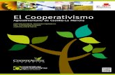 El Cooperativismo En este informe se ha analizado m£Œs del 84% del cooperativismo agroalimentario de