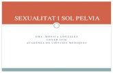 SEXUALITAT I SOL PELVIA · El sol pelvià juga un important paper en la sexualitat de la dona. Š. Per un costat forma part de la . plataforma orgasmica . que es crea durant la resposta