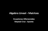 Algebra Lineal - Matrices · Algebra Lineal - Matrices Ecuaciones Diferenciales Mayteé Cruz - Aponte Objetivos • Matrices • Operaciones con matrices • Determinate de una matriz
