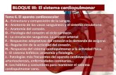 BLOQUE III: El sistema cardiopulmonarbiologiaygeologia.weebly.com/uploads/9/1/0/5/9105909/tema6.ap... · Estructura y composición de la sangre. B.- Anatomía de los vasos sanguíneos
