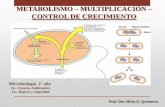 METABOLISMO MULTIPLICACIÓN CONTROL DE CRECIMIENTO · METABOLISMO Las células son capaces de obtener energía de la oxidación de compuestos químicos orgánicos e inorgánicos mediante