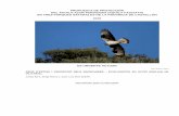 PROPUESTA DE PROTECCIÓN DEL ÁGUILA-AZOR PERDICERA … · Propuesta de protección del águila perdicera en tres Parques Naturales de Castellón.2016 (GER-EA) 3 Introducción: El