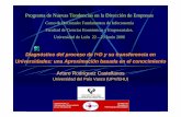 Diagnóstico del proceso de I+D y su transferencia en ...sicodinet.unileon.es/le042a05/archivos/SeminArturo-jun06.pdf · Jornadas Hispano-Lusas de gestión científica Sevilla, 2-4