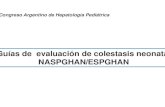 Guías de evaluación de colestasis neonata NASPGHANN ESPGHAN 24/Caglio... · 2017. 5. 16. · mericana para el Estudio de lasmericana para el Estudio de las trabajo de Recomendaciones