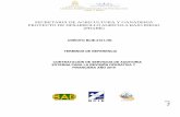 SECRETARIA DE AGRICULTURA Y GANADERIA PROYECTO DE ...€¦ · crear la Unidad Administradora de Proyectos (UAP), mediante acuerdo No. 362-2014, ... abastecer de productos de alta