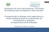 Avance de país: EL SALVADOR · Seminario de cierre del proyecto:“Procesos de Políticas para el Impacto a Gran Escala” Promoviendo el diálogo entre agricultura y medio ambiente