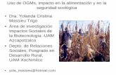 Uso de OGMs, impacto en la alimentación y en la seguridad ecológica • Dra. Yolanda Cristina Massieu Trigo • Área de …fonan.nutricionenmexico.com/antiguo/presentaciones/eje3/1_Uso
