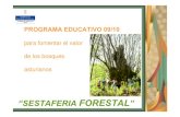 PROGRAMA EDUCATIVO 09/10 - Asturias · RECURSOS QUE SE OFRECEN VISITA AL VIVERO DE LA MATA Abril-Junio de 2010 “SESTAFERIA FORESTAL ... Árboles del bosque de montaña Árboles