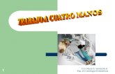 C.D. María S. Ventocilla H. Esp. en Carielogía-Endodoncia...30 Esp. en Carielogía-Endodoncia TAREAS ASIMÉTRICAS COOPERATIVAS Y ACCIONES BIMANUALES Anestesia Mano dominante Palpación