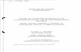 ARTESANIAS DE COLOMBIA CENTRO DEDISEÑO INFORME DE ...€¦ · Este informe reseña la información correspondiente a la labor de asesoría en diseño y técnicas de tejido en Istmina