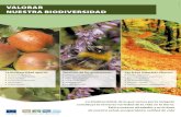 Valorar nuestra biodiVersidad - European CommissionValorar nuestra biodiVersidad Las áreas naturales ofrecen: Paisajes hermosos Una vida silvestre asombrosa Paz y tranquilidad Un