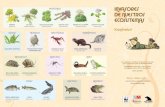DE NUESTROS ECOSISTEMASawsassets.wwf.es/downloads/poster.pdf · la biodiversidad porque provocan desequilibrios en los ecosistemas, como la extinción de especies propias de cada