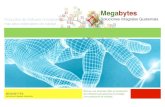 Megabytes · programación avanzados para brindarles un mejor servicio y garantizarle a usted programas que le provean las mejores herramientas para la toma de decisiones.!! Porque