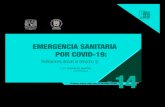 EMERGENCIA SANITARIA POR COVID-19 - UNAM · 2020. 4. 24. · emergencia de otros países para afrontar el COVID-19 en aras de dar opciones al gobierno fe-deral para apoyar a hogares