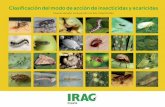 Clasificación del modo de acción de insecticidas y acaricidas...4 Introducción La clasificación de Modos de Acción (MdA) de IRAC proporciona a los agricultores, productores, técnicos