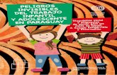 Programa Internacional para la Erradicación del Trabajo ...white.lim.ilo.org/ipec/documentos/paraguay... · Peligros invisibles del trabajo infantil y adolescente en Paraguay: Diagnóstico