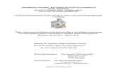 UNIVERSIDAD NACIONAL AUTONOMA DE NICARAGUA, …repositorio.unan.edu.ni/6434/1/90060.pdf · 2017. 10. 19. · UNIVERSIDAD NACIONAL AUTONOMA DE NICARAGUA, MANAGUA UNAN - MANAGUA RECINTO