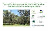 Operación de esquemas de Pagos por Servicios Ambientales ...foronacionalambiental.org.co/wp-content/uploads/2017/05/Esquema… · Ganadería Colombiana Sostenible. Aliados estratégicos.