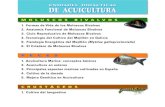 P E C E S - mapa.gob.es · 2. Acuicultura en esteros 3. Principales especies marinas cultivadas en España 4. Cultivo de la dorada 5. Mejora Genética en Acuicultura P E C E S 1.