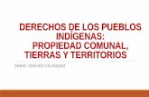 DERECHOS DE LOS PUEBLOS INDÍGENAS: PROPIEDAD … · 2019. 10. 23. · derechos, y en particular su derecho a la propiedad comunal,es justamente el reconocimiento de su derecho a