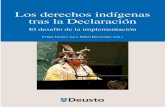 Los derechos indígenas tras la Declaración€¦ · Los derechos de los pueblos indígenas se encuentran en pleno proceso de consolidación e implementación en todo el mundo. Tras