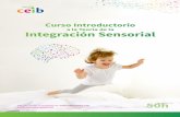 a la Teoría de la Integración Sensorialceibarcelona.com/wp-content/uploads/2018/11/castella-50h.pdf · 2018. 11. 19. · rada desde el entender al niño, a cómo hablarles, interactuar,