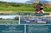 El Gran Dragón Rojo > Vietnam - Exode€¦ · El inmenso mercado flotante que es el Delta del Mekong Recorrido en canoas a través de un paisaje fantástico en el que el río se
