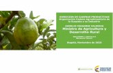 Ministro de Agricultura y Desarrolho Rural · La guayaba “es una de las frutas que más se utiliza en procesos agroindustriales para la obtención de una amplia gama de productos”.