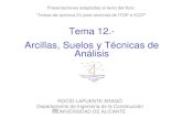 Tema 12. Arcillas, Suelos y Técnicas de Análisis · Tema 12. Arcillas, Suelos y Técnicas de Análisis Presentaciones adaptadas al texto del libro: “Temas de química (II) para