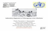 Pedro Fernando C. Vasconcelosportalarquivos.saude.gov.br/images/pdf/2014/outubro/10/...Distribuição dos Casos Importados de Chikungunya por Estado no Brasil segundo a Procedência