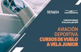CURSOS DE VERANO Ocaña, junio y julio 2018 AVIACIÓN DEPORTIVA CURSOS DE … · 2018. 4. 25. · sector de aeronaves no tripuladas sugieren la introducción de esta modalidad de