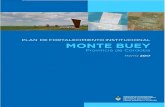 PLAN ESTRATÉGICO TERRITORIAL - Argentina...Plan Estratégico Territorial – Monte Buey 2 Esta publicación es resultado de los trabajos realizados para el Plan Estratégico Territorial