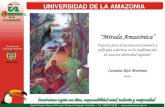 Mirada Amazónica...UNIVERSIDAD DE LA AMAZONIA “Mirada Amazónica” Espacio para el autoreconocimiento y reflexión colectiva en la reafirmación de nuestra identidad regional.