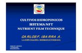 CULTIVOS HIDROPONICOS - cadena hortofruticola · 2020. 5. 17. · cultivos hidroponicos sistema nft carlos f. ibarra a i. a especialista hidrocultivos ucl nutrient film technique