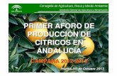 PRIMER AFORO DE PRODUCCIÓN DE CÍTRICOS EN ANDALUCÍA€¦ · • Del total de cítricos producido, el 74% serán naranjas dulces, un 18% serán mandarinas y un 6% serán limones.