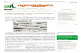 315MICA | Envases dediente | Sostenibilidad)sigfito.es/wp-content/uploads/2013/06/AGROQUiMICA-_-Envases-de..… · A las obligaciones burocráticas que tan poco gustan al agricultor,