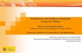 Plataformas Tecnológicas Españolas Grupo de Trabajo2. Planes de austeridad de las Plataformas Tecnológicas 3. Las Estrategias de Ciencia Tecnología y de Innovación y el Plan estatal