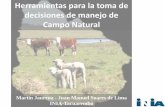 decisiones de manejo de Campo Natural€¦ · Herramientas para la toma de decisiones de manejo de Campo Natural Martín Jaurena - Juan Manuel Soares de Lima INIA-Tacuarembó