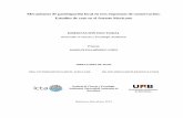 Mecanismos de participación local en tres esquemas de ... · Mecanismos de participación local en tres esquemas de conservación: Estudios de caso en el Sureste Mexicano DISERTACIÓN