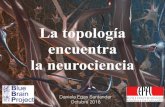 New La topología encuentra - UAB Barcelonamat.uab.cat/gmat/documents/18-19/DiapositivasDaniela.pdf · 2018. 11. 7. · Reconstrucción digital de las capas 1 a 6 Cinco ratas de 14